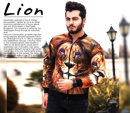 سویشرت-مردانه-مدل-Lion